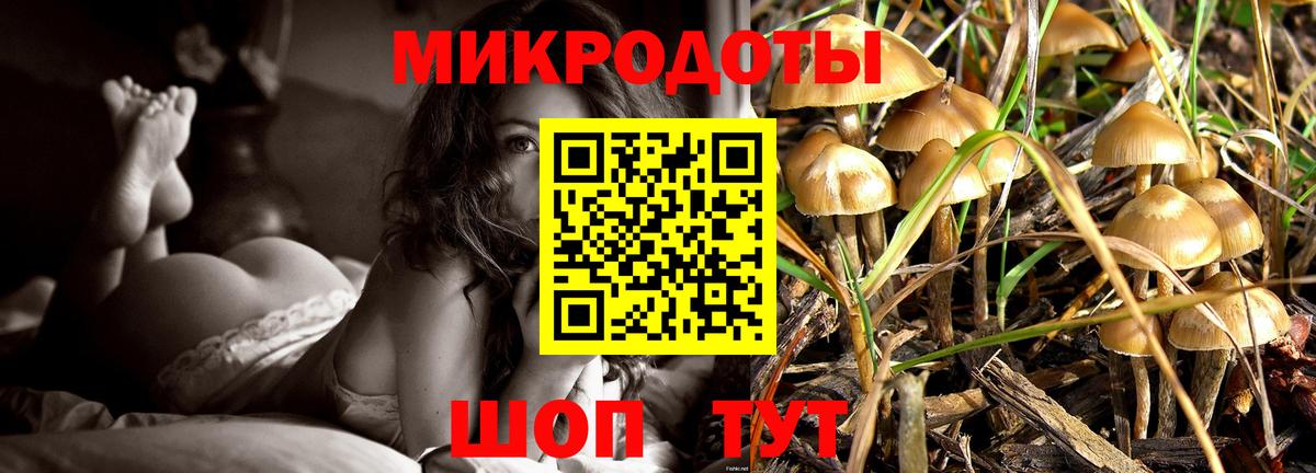 Лабинск  Псилоцибиновые грибы прущие грибы  закладки  Псилоцибиновые грибы GOLDEN TEACHER  Вход с VPN 