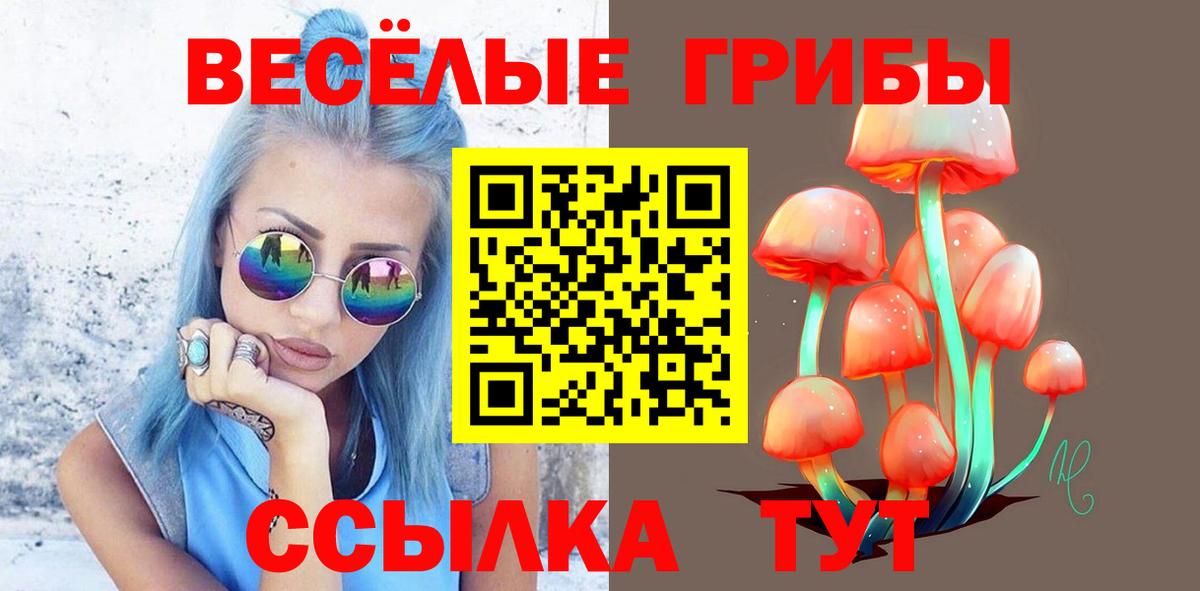 Галлюциногенные грибы Psilocybe Лабинск